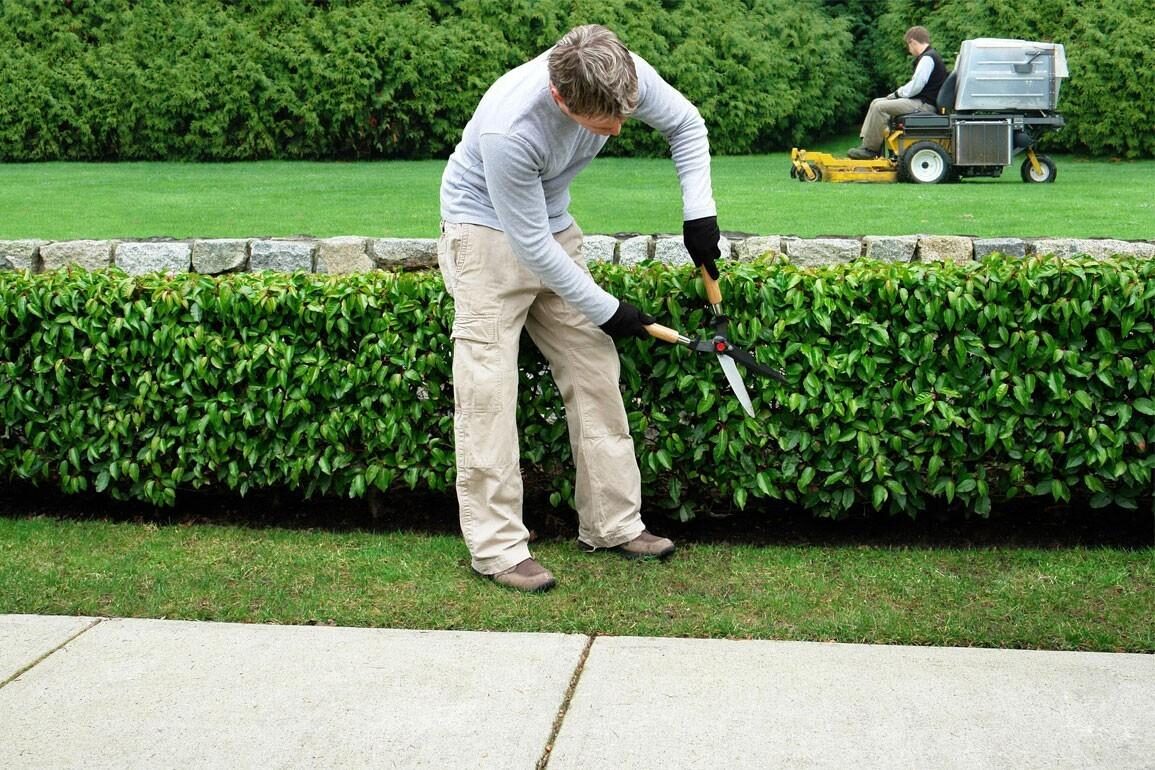 Gartenpflege